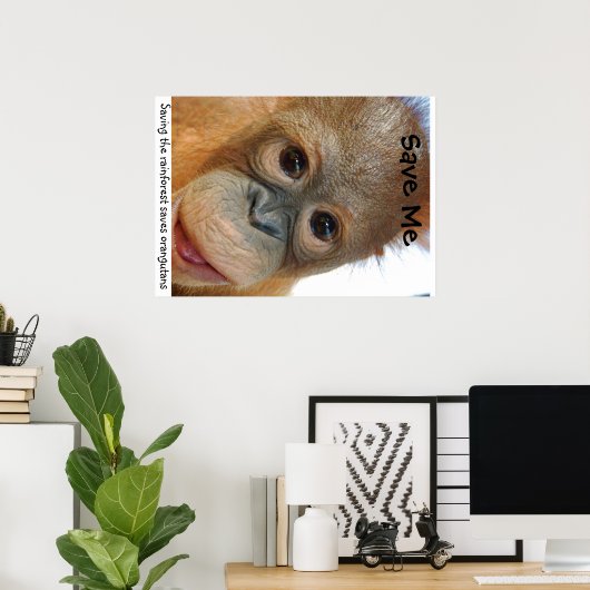 Save the Orangutans and Rainforest Poster (Heimbüro)