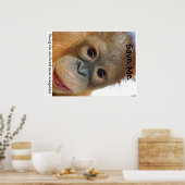 Save the Orangutans and Rainforest Poster (Küche)