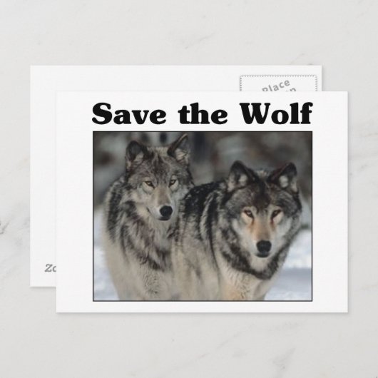 Save the Wolf Postkarte (Vorne/Hinten)