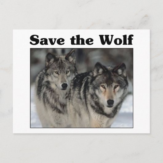 Save the Wolf Postkarte (Vorderseite)