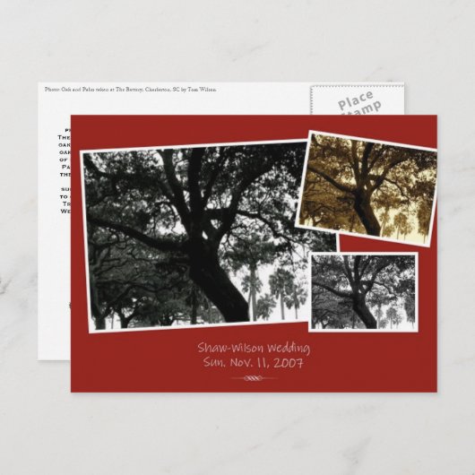 SaveTheDate Ankündigungspostkarte (Vorne/Hinten)