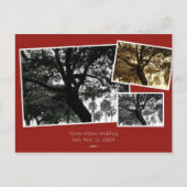 SaveTheDate Ankündigungspostkarte (Vorderseite)