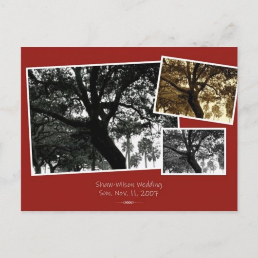 SaveTheDate Ankündigungspostkarte (Vorderseite)