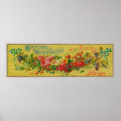 Savon Superfins Soap LabelParis, Frankreich Poster (Vorne)