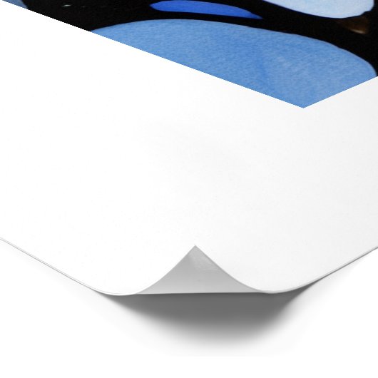 Savona poster (Ecke)