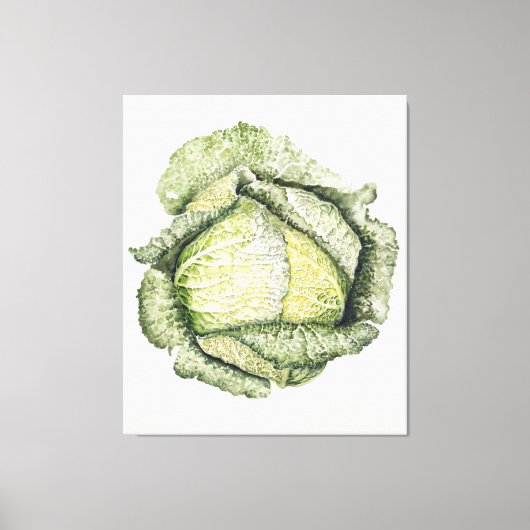 Savoy Cabbage Leinwanddruck (Vorderseite)