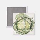 Savoy Cabbage Magnet (Vorderseite/Rückseite)