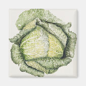Savoy Cabbage Magnet (Vorne)