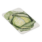 Savoy Cabbage Magnet (Rechte Seite)