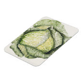 Savoy Cabbage Magnet (Linke Seite)