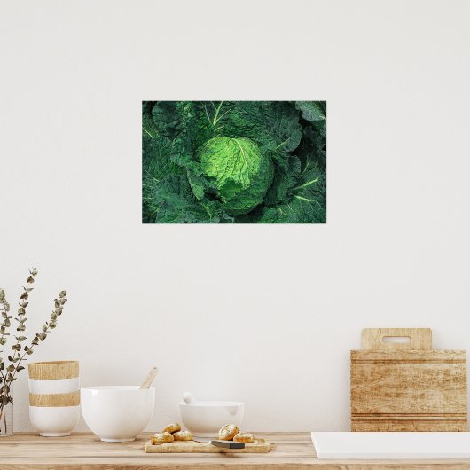 Savoy Cabbage Poster (Küche)