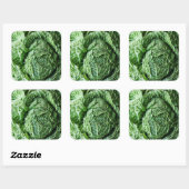 Savoy Cabbage Quadratischer Aufkleber (Blatt)
