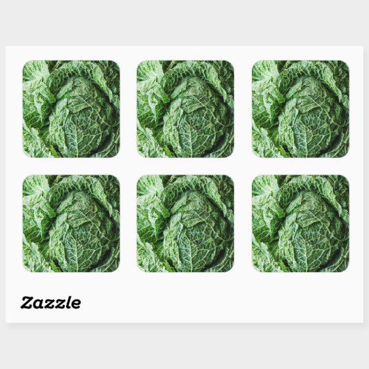 Savoy Cabbage Quadratischer Aufkleber (Blatt)