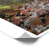 Savoy Mountain Staat Park Berkshires Poster (Ecke)