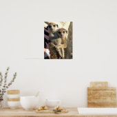 Savuka umarmend Oriole - Poster (Küche)