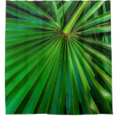Saw Palmetto Fan Duschvorhang (Vorderseite)