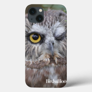 Saw-whet Owl iPhone 13 Hülle
