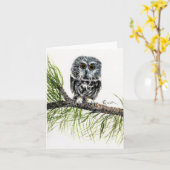 Saw Whet Owl Note Karte (Gelbe Blume)