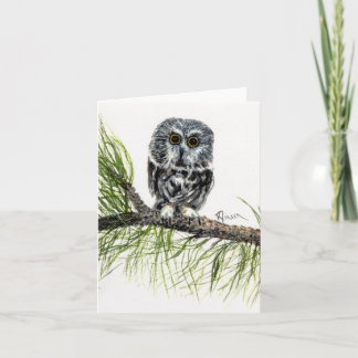 Saw Whet Owl Note Karte
