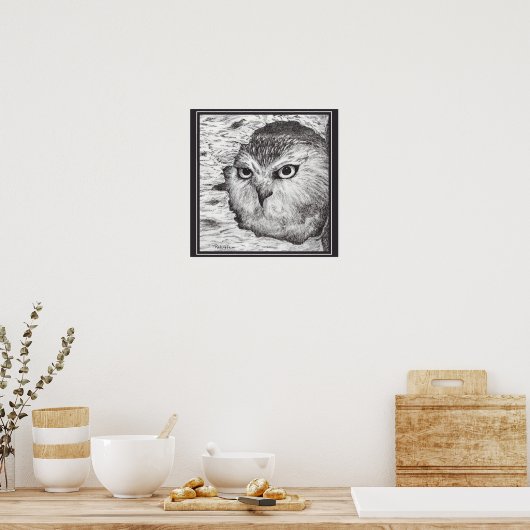 Saw-Whet Owl  Poster (Küche)