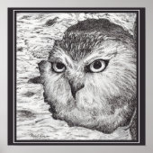 Saw-Whet Owl  Poster (Vorne)