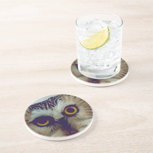 Saw-whet-uhu Sandstein Untersetzer (Seite)