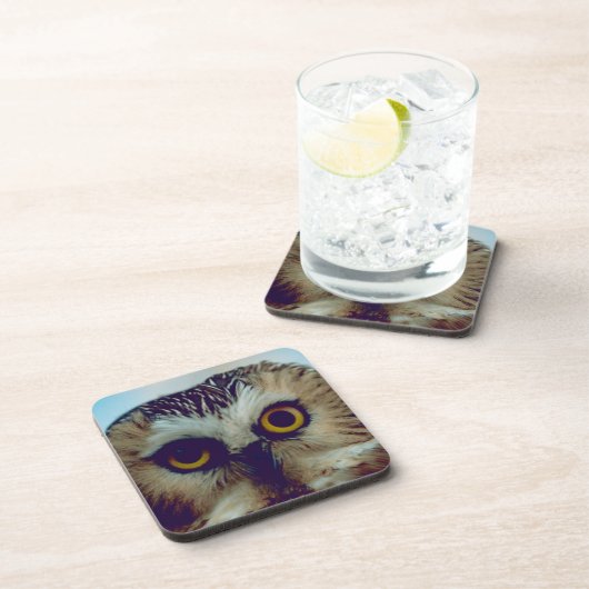 Saw-whet-uhu Untersetzer (Rechte Seite)