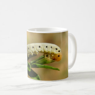 Sawfly Larvae Bug Tasse