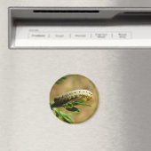 Sawfly Larvae Magnet (In Situ (Geschirrspüler))