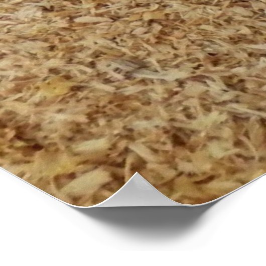 Sawstaub Boot Print Poster (Ecke)