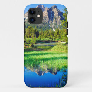 Sawtooth-Wildnis Case-Mate iPhone Hülle