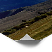 Sawzahnriegel Poster (Ecke)