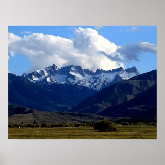 Sawzahnriegel Poster (Vorne)