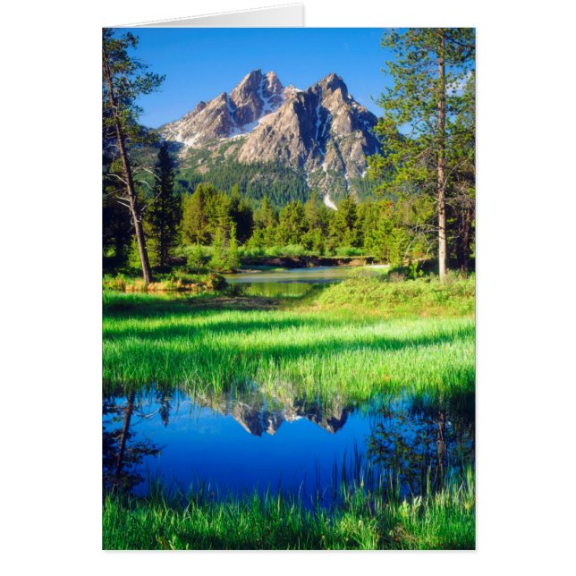 Sawzahnwilderness (Vorne)