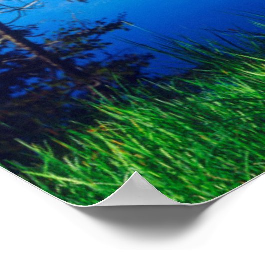 Sawzahnwilderness Poster (Ecke)