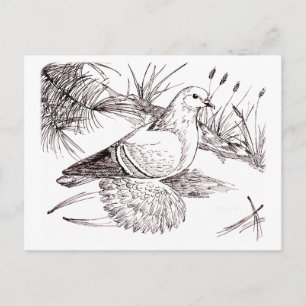 Saxon-Feldtaube Postkarte