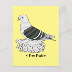Saxon Shield pigeon bird cartoon illustration Postkarte