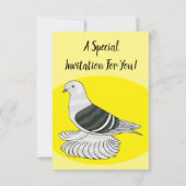 Saxon Shield Taube Cartoon Einladung (Rückseite)