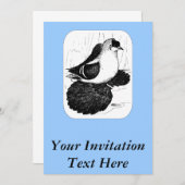 Saxon Swallow Taube 1978 Einladung (Vorne/Hinten)