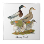 Saxony Duck Family Fliese (Vorderseite)
