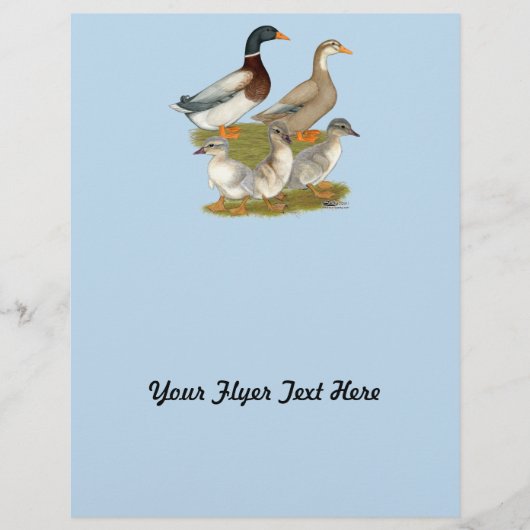 Saxony Duck Family Flyer (Vorne)