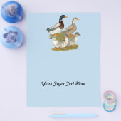 Saxony Duck Family Flyer (Einzeln)