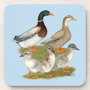 Saxony Duck Family Getränkeuntersetzer