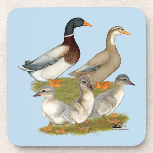 Saxony Duck Family Getränkeuntersetzer (Vorderseite)