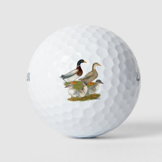 Saxony Duck Family Golfball (Vorderseite)