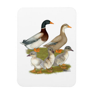 Saxony Duck Family Magnet