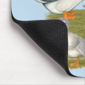 Saxony Duck Family Mousepad (Ecke)