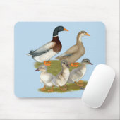 Saxony Duck Family Mousepad (Mit Mouse)