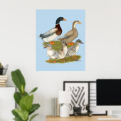 Saxony Duck Family Poster (Heimbüro)