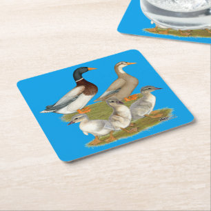 Saxony Duck Family Rechteckiger Pappuntersetzer